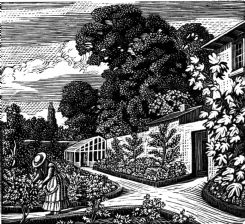 wood-engraving print: The Garden for The Runaway